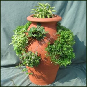 Container Collection