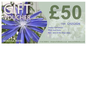 Gift Voucher for Norfolk Herbs
