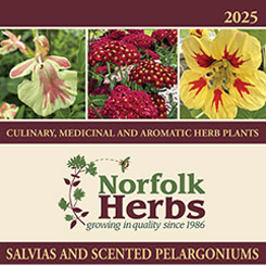 Download catalogue 2025